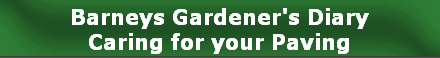Barneys Gardener's Diary
Caring for your Paving