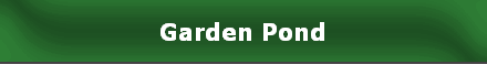 Garden Pond