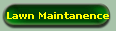 Lawn Maintanence