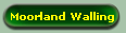 Moorland Walling