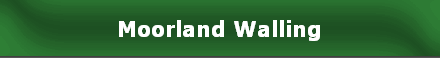 Moorland Walling