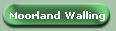 Moorland Walling