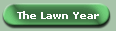 The Lawn Year