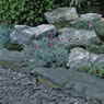 Grey Lakefell Rockery Stone and Purple Slate Scree Decorative Aggregate with Slate Stacks