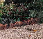 Rustic Brick Edging