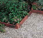 Scalloped and Ropetop Edging