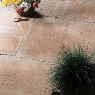 Regal Paving