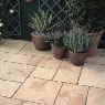 Yorkvale Paving in Antique Gold